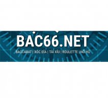 bac66net