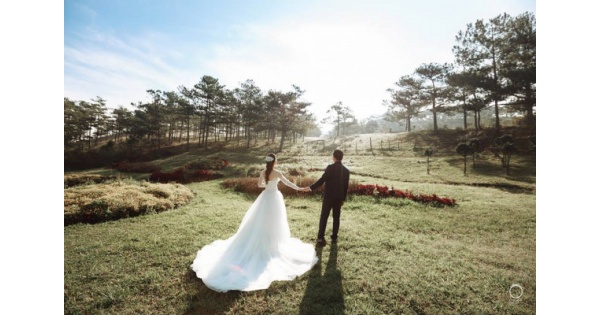 20 địa điểm chụp hình cưới Đà Lạt lãng mạn nhất cho cô dâu chú rể